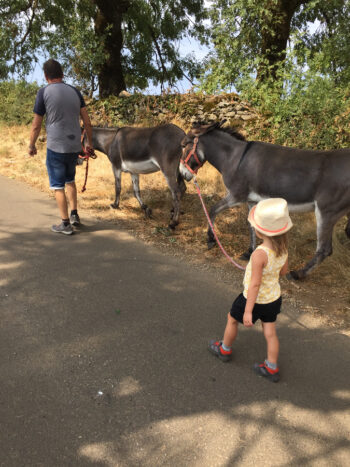 Chacun son animal en petit comité