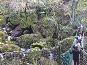 Pont suspendu dans la jungle?