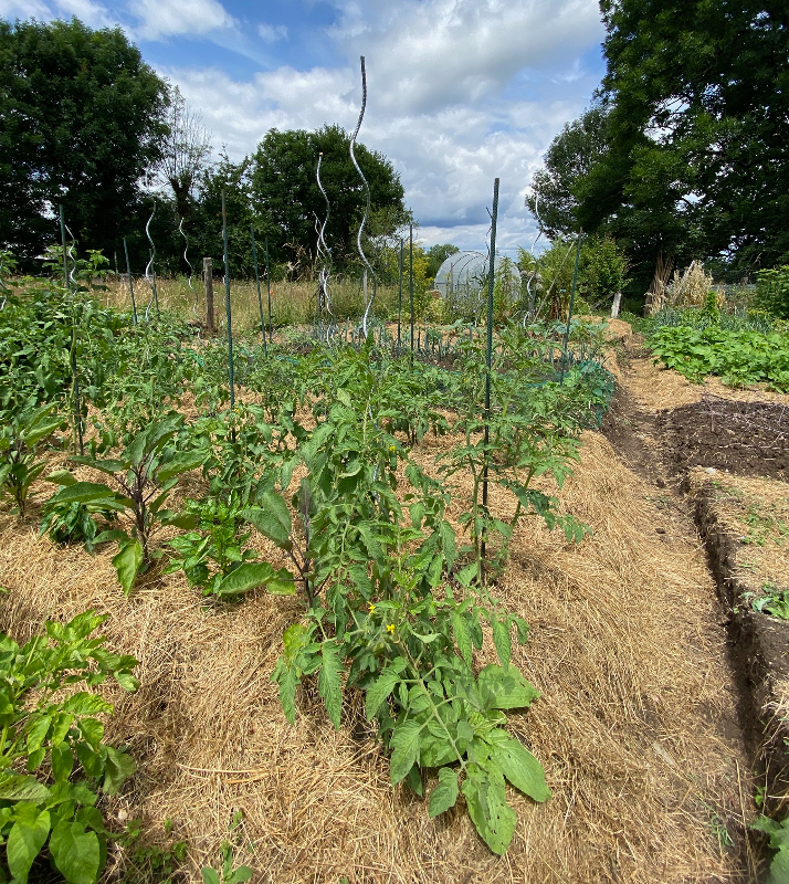 potager de la ruche