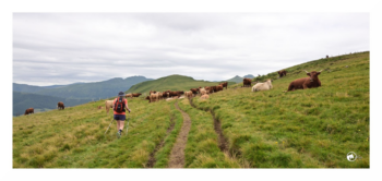 bouchon dans le Cantal- Immersion dans la campagne