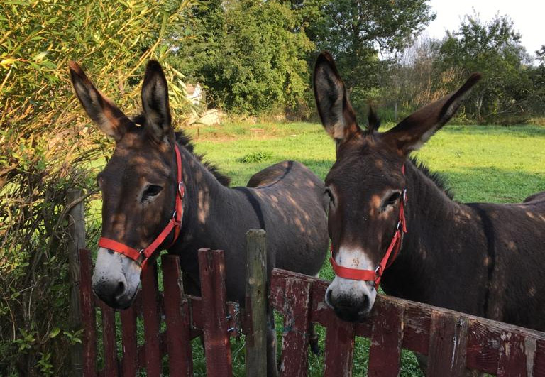 Annesses pour vous accompagner en randonnée Aurillac Cantal