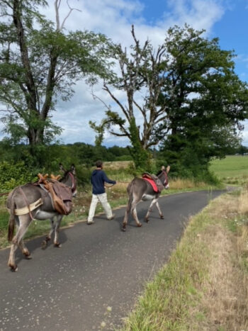 Randonnée avec les ânes