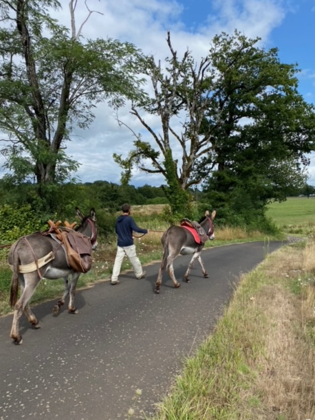 Randonnée avec les ânes